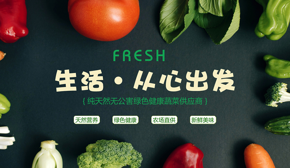 网站的优化效果