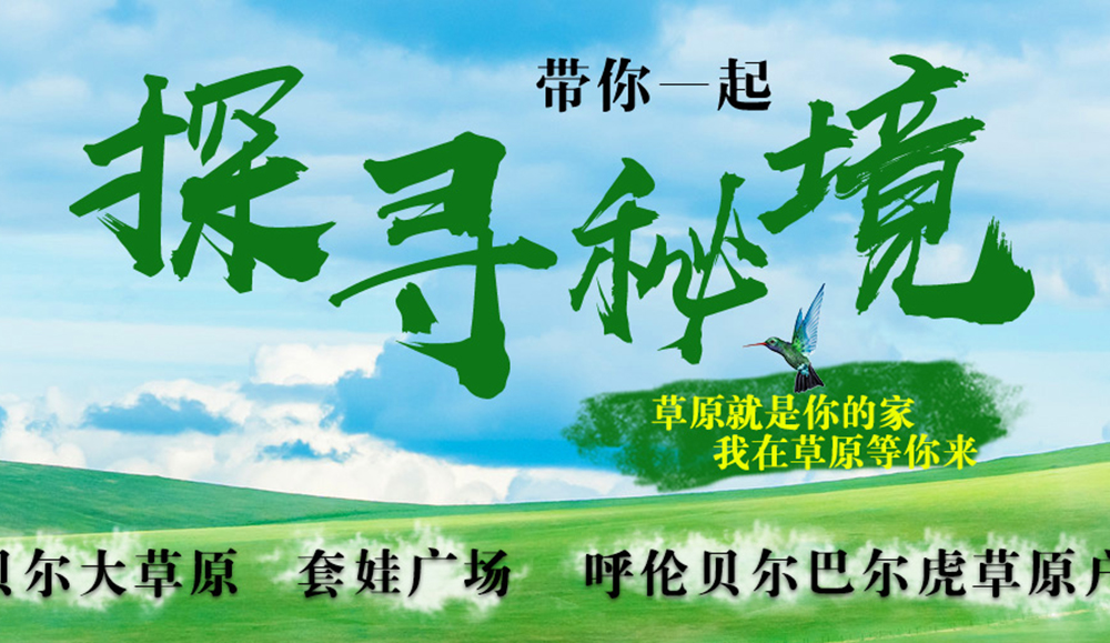 泊头seo 外链建设