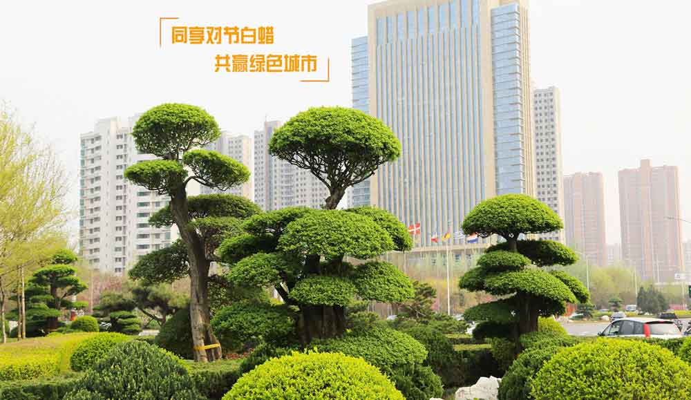 seo不就是发文章么