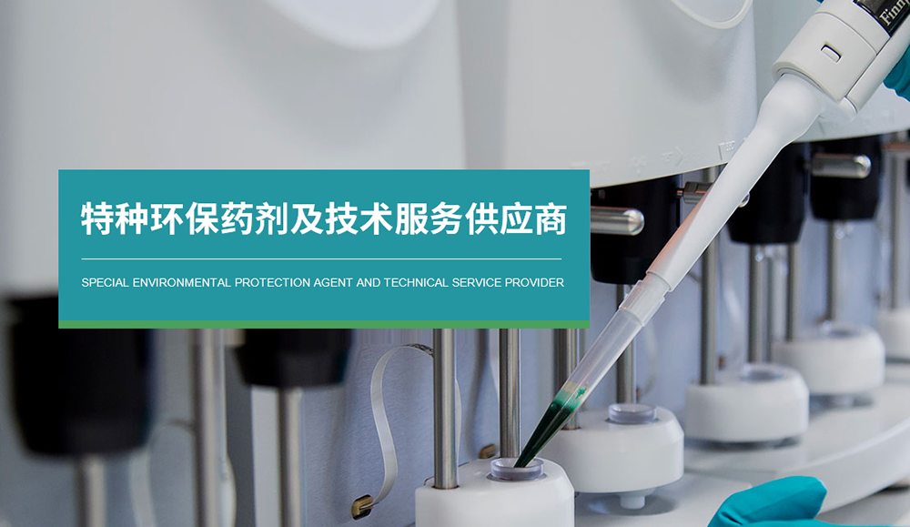 长春网站优化服务