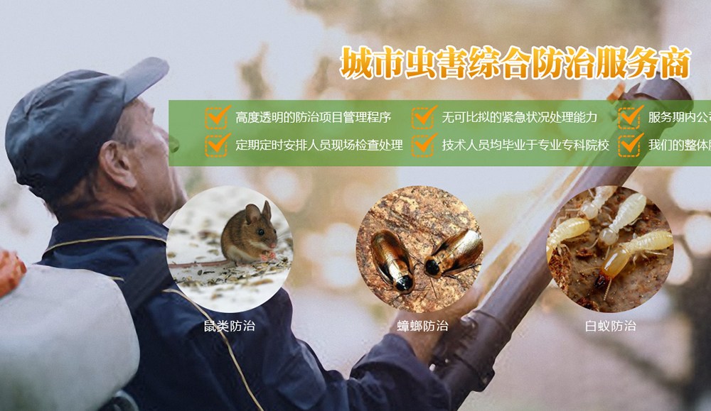 通化集安seo诊断公司